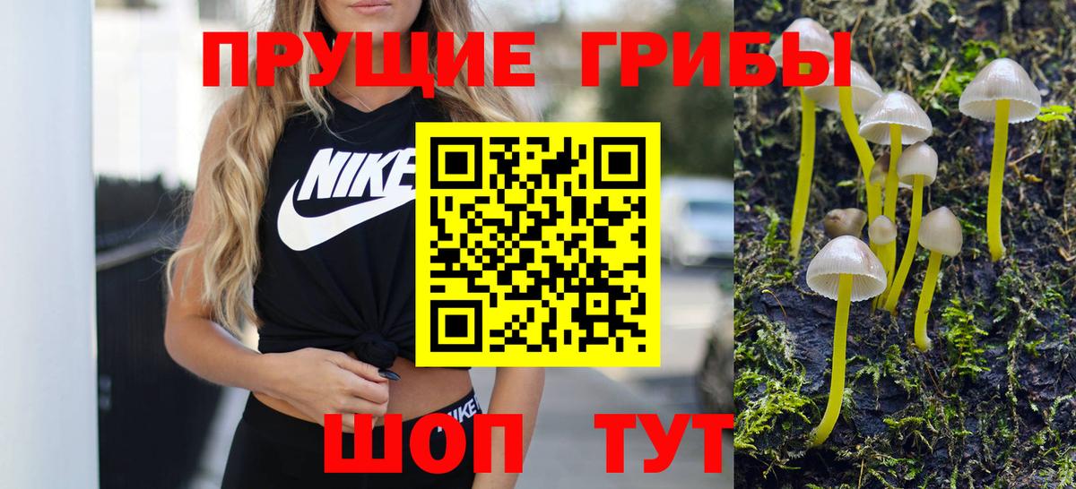 Сокол  Псилоцибиновые грибы GOLDEN TEACHER  Вход с VPN 